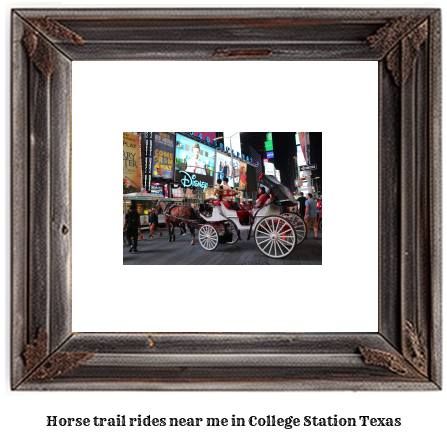 horse trail rides near me in College Station, Texas